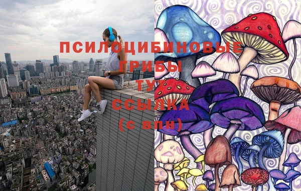 круглые Алексеевка