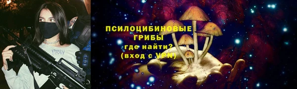 круглые Алексеевка
