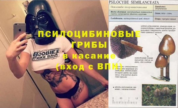 круглые Алексеевка