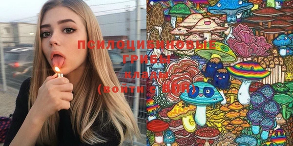 круглые Алексеевка