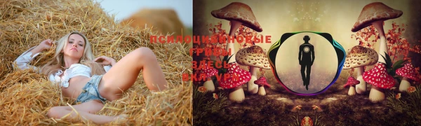 круглые Алексеевка