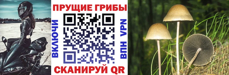 Галлюциногенные грибы мухоморы  Петрозаводск 